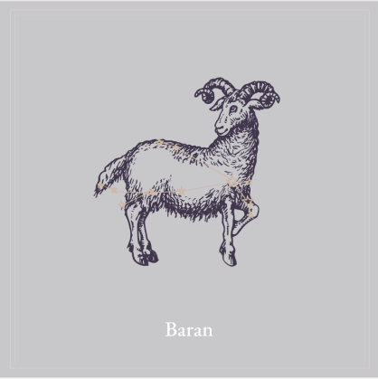 Horoskop na rok 2026 W Twoim życiu rozpocznie się wdrażanie zmian, które totalnie odmienią Twoją przyszłość. W koncu poczujesz przypływ pozytywnej energii i zaczniesz przenosić góry. Odkryjesz czym jest prawdziwa miłość, wejdziesz w związek, w którym będziesz doceniony przez partnera. W pracy spodziewaj się dużych zmian, Twoja pozycja zawodowa umocni się. W końcu poczujesz, że żyjesz I pozamykasz stare sorawy . Rok pracowity przed Tobą, dzięki czemu odniesiesz sukces. Brawo tak trzymaj .